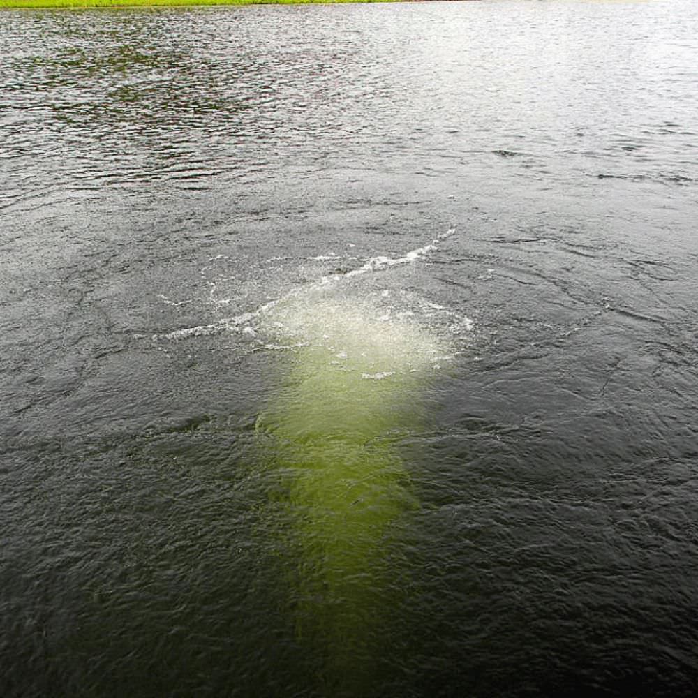 Scott Aerator Bubble Pro Sub-Surface Aerator In The Water Bubbling On The Surface