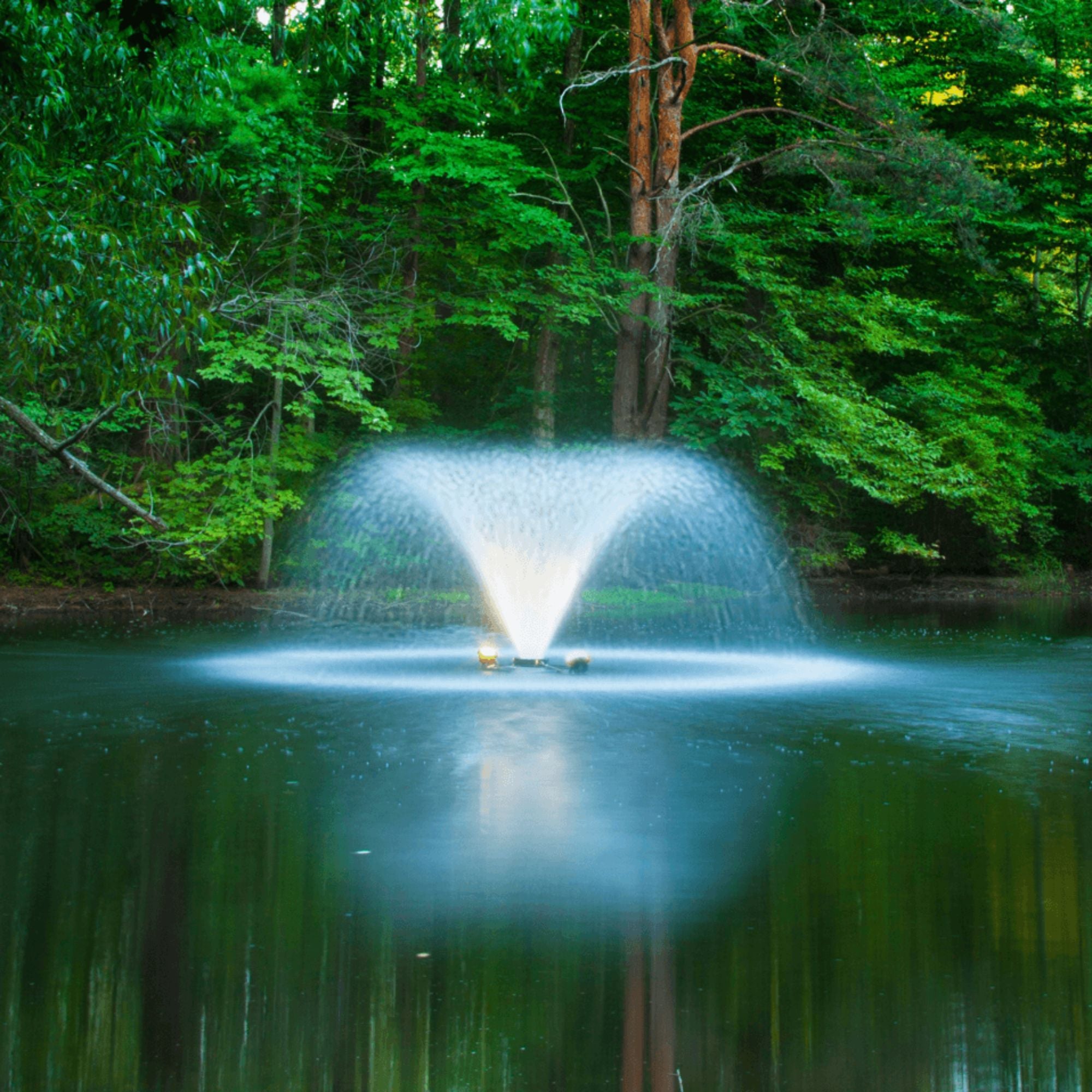 Scott Aerator DA-20 Display Aerator On The Water Wight Lights & Green Trees In The Background