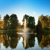 Scott Aerator Skyward Nozzle With Orange Leaves Trees And Blue Sky Views