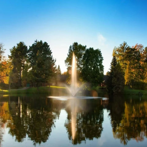 Scott Aerator Skyward Nozzle With Orange Leaves Trees And Blue Sky Views