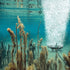 Thumbnail for Scott Aerator Solar Pond Aeration System Diffuser Under Water Bubbling