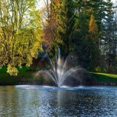 Scott Rosewood Nozzle Scenic View Surrounded By Colored Autumn Leaves