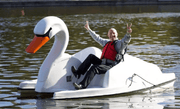 Adventure Glass Swan Platform 4 Person Paddle Boat