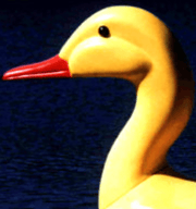 Adventure Glass Big Bird Duck Platform Paddle Boat