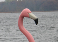 Thumbnail for Adventure Glass Big Bird Pink Flamingo Platform Paddle Boat