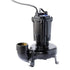 Thumbnail for ShinMaywa CNL Cast Iron Submersible Pond Pump Plain White Background