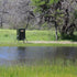 Thumbnail for Texas Hunter Fish Feeder