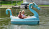 Thumbnail for Adventure Glass Dragon Classic 2 Person Paddle Boat