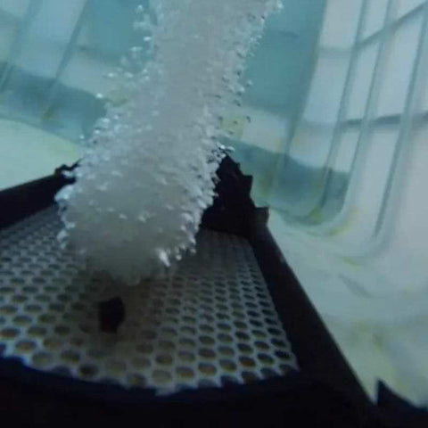 Vanguard Electric Bottom Aeration System Bubbling Under Water Close Up