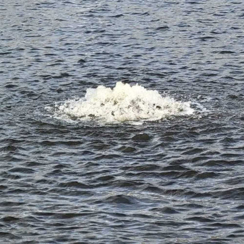 Vanguard Pond Spa Surface Aerator/De-Icer On The Water Bubbling