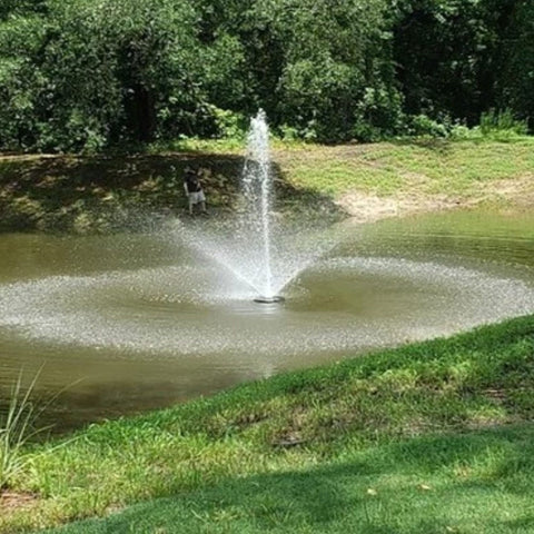 Vanguard Hydro Torque Series Floating Lake Fountain Surrounded By Lush Green Trees