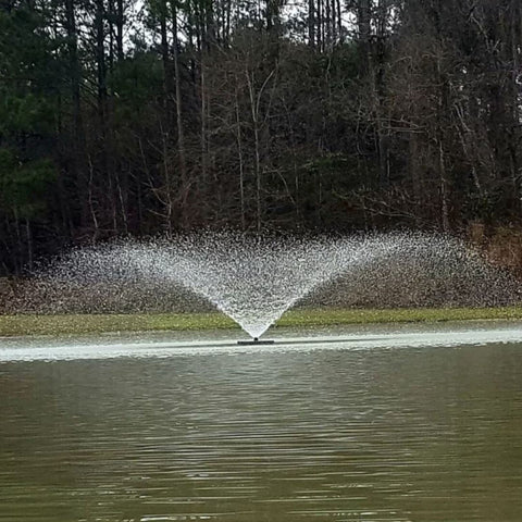 Vanguard Hydro Torque Series Fountain Wooded Pond Backdrop With Soft Overcast Light