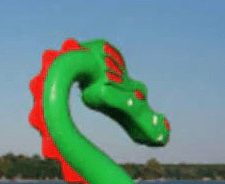 Adventure Glass Big Bird Dragon platform paddle boat