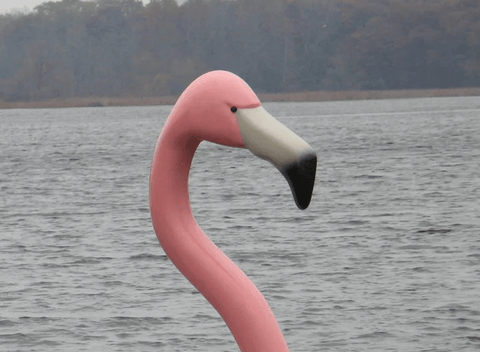 Adventure Glass Big Bird Pink Flamingo platform paddle boat