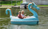 Adventure Glass Dragon pedal boat