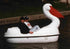 Adventure Glass Pelican Classic pedal boat, side view