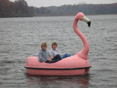 Pink flamingo-shaped pedal boat on a lake in autumn, carrying two teenagers seated in the open cockpit