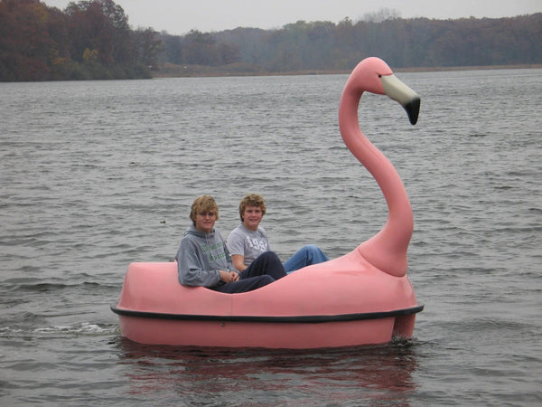 Pink flamingo-shaped pedal boat on a lake in autumn, carrying two teenagers seated in the open cockpit