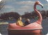 Adventure Glass Pink Flamingo pedal boat on a lake