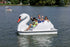 Big Bird Swan platform pedal boat, Adventure Glass