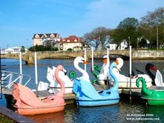 Blue heron paddle boat, Adventure Glass