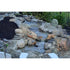 Blue Thumb Elite Spillway pondless waterfall, installed