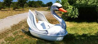 Adventure Glass Swan Classic 2 Person Paddle Boat