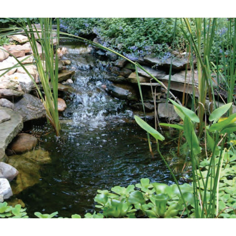 EasyPro Large Pond Kit package pond with rocks and plants