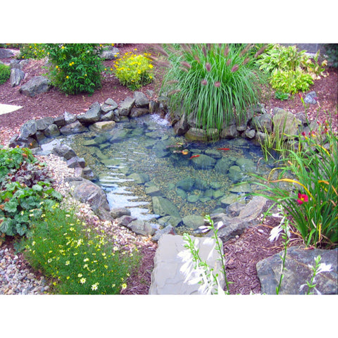 EasyPro Mini Pond Kit garden pond with rocks and flowers