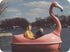Thumbnail for Adventure Glass Pink Flamingo Classic 4 Person Paddle Boat