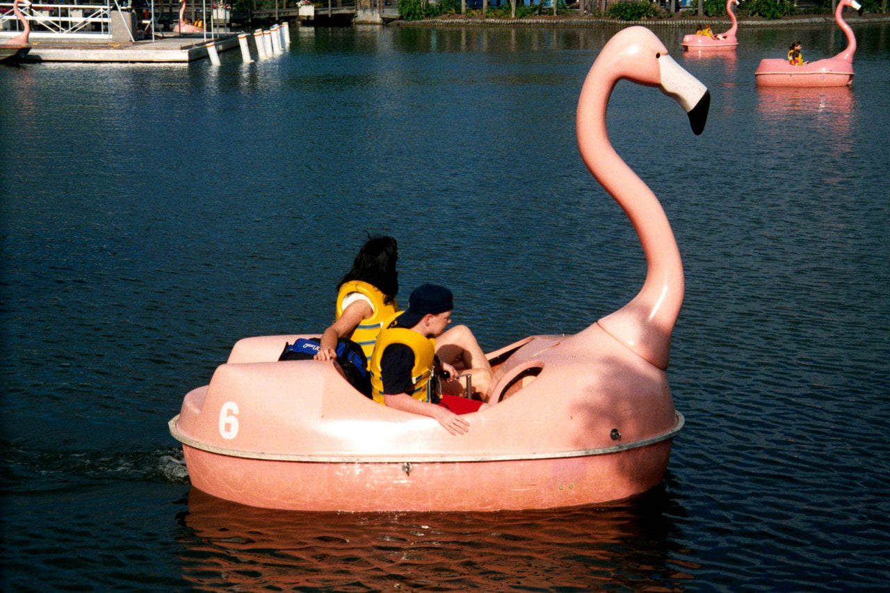 Adventure Glass Pink Flamingo Classic 4 Person Paddle Boat