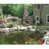 Large Pond Kit by EasyPro koi pond beside a green house
