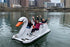 Large swan platform paddle boat, Adventure Glass Big Bird