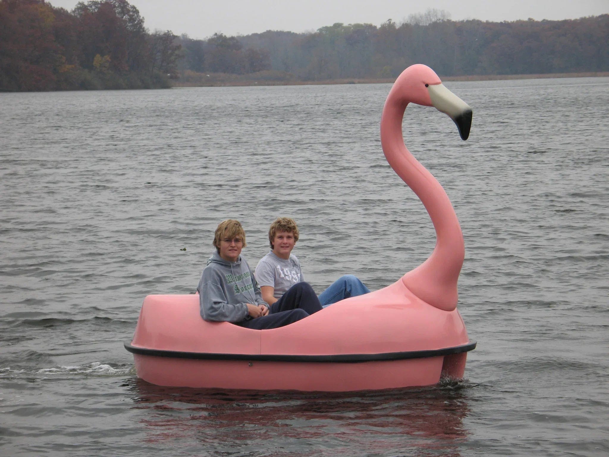 inflatable pedal boat Adventure Glass Pink Flamingo Classic 4 Person Paddle Boat – Pond Haven