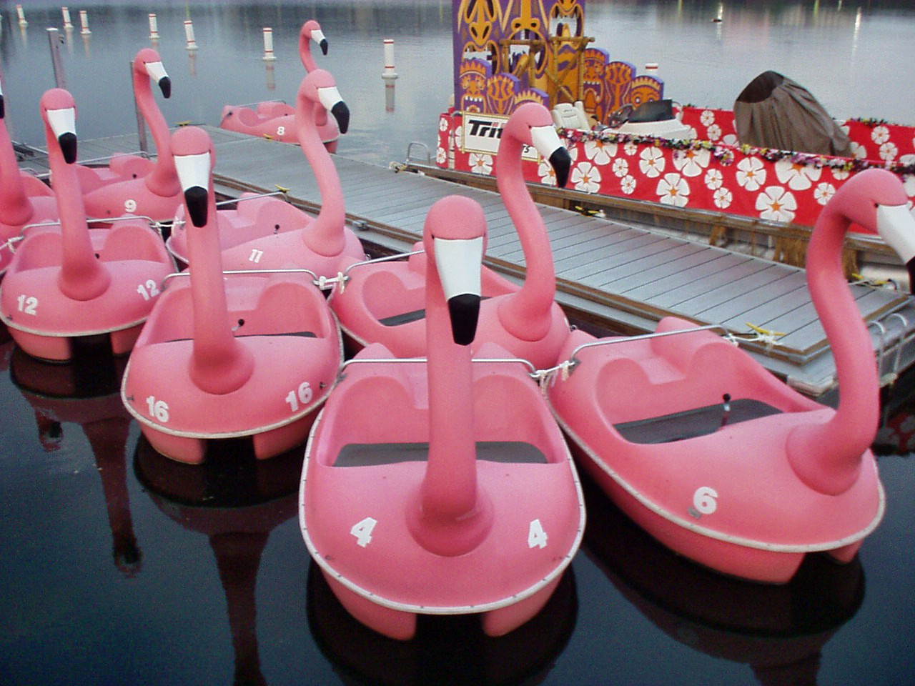 Adventure Glass Pink Flamingo Classic 4 Person Paddle Boat