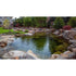 Thumbnail for Aquascape Recreational Pond Kit 19x24