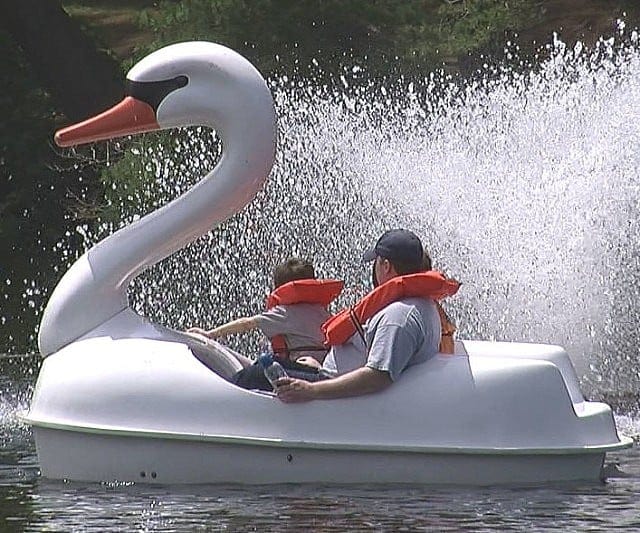Adventure Glass Swan Classic 2 Person Paddle Boat – Pond Haven