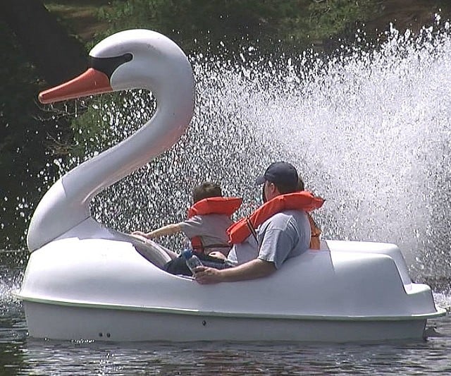 Adventure Glass Swan Classic 2 Person Paddle Boat