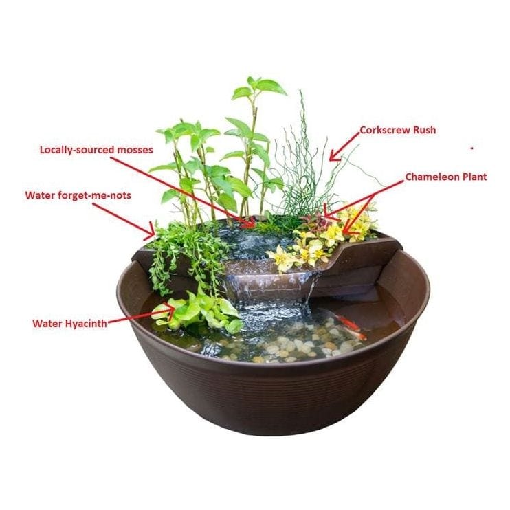 Aquascape AquaGarden Mini Pond Kit