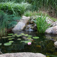 Thumbnail for Aquascape 4' X 6' Aquascape DIY Backyard Pond Kit (99763)