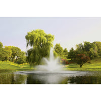 Thumbnail for Kasco J Series Decorative Pond Fountain, 5 HP