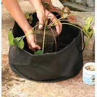 Thumbnail for Aquascape Aquatic Lily Pot 14in Round x 7in Deep (2 pack)