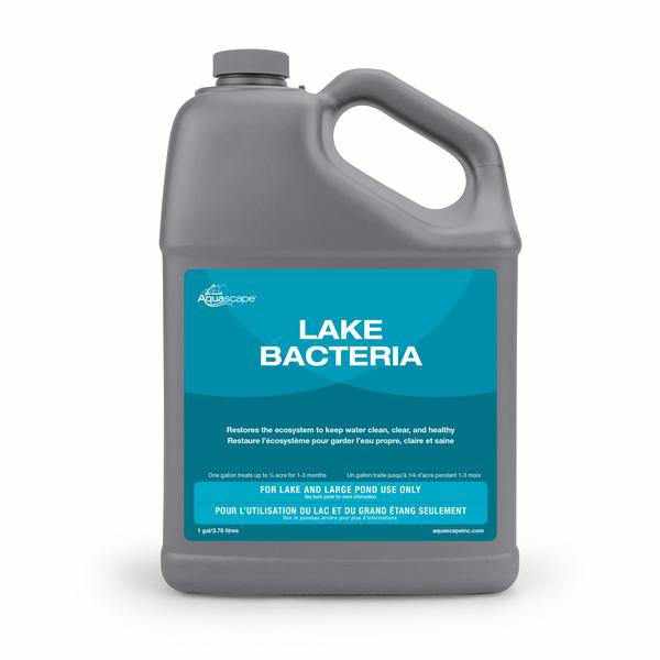 Aquascape Liquid Lake Bacteria - 1 Gal