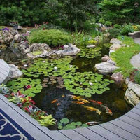 Thumbnail for Aquascape Large Pond Kit 21x26 with SLD 5000-9000