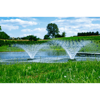 Thumbnail for Baeron Aquatics Power House Pond Aerating Fountain, 1/2 HP