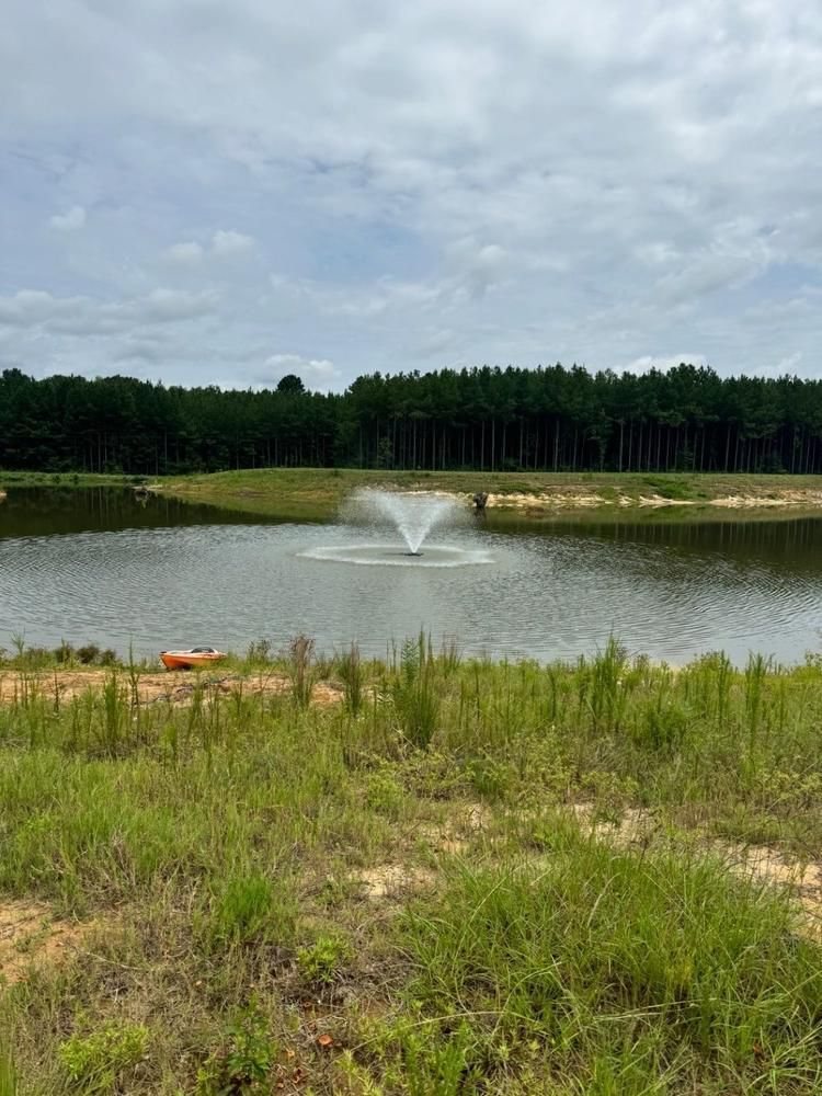 Fountain on a rural pond surrounded by meadow grass