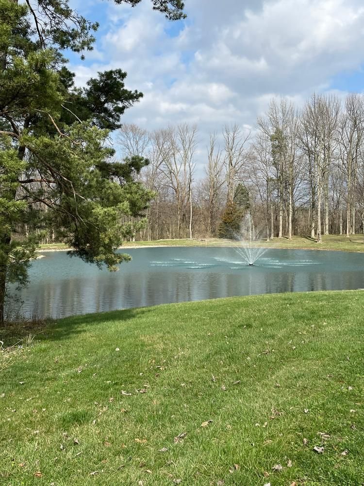 Customer pond fountain framed by a pine tree
